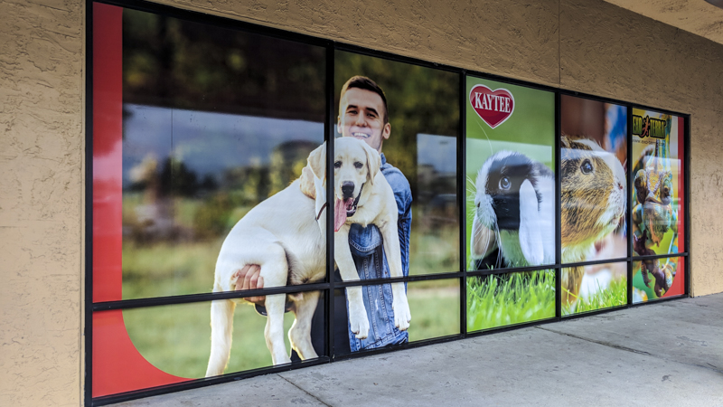 Petland window wraps by Pensacola Sign